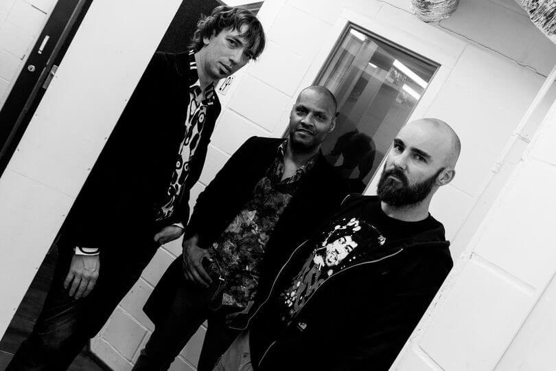 bald as love zwart